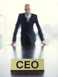 CEO career